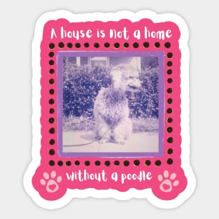 A House is not a Home Without a Poodle Sticker